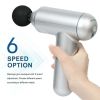 Pro Sport Deep Tissue Percussion Muscle Massage Gun - Classic Silver